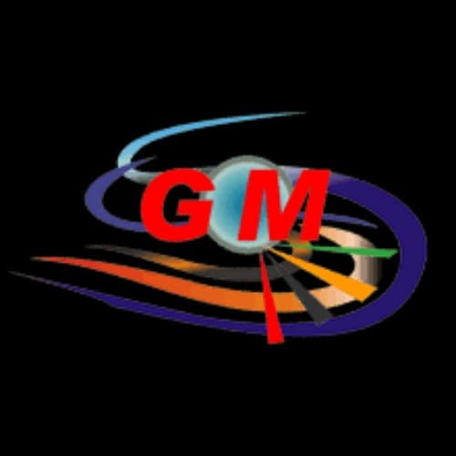 TRANSPORTES G M INTERNACIONAL S.A.C.